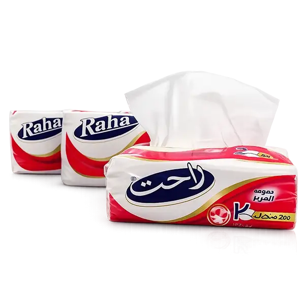 Rahat Tissue Silky Soft (300 Sheets) Pack of 6