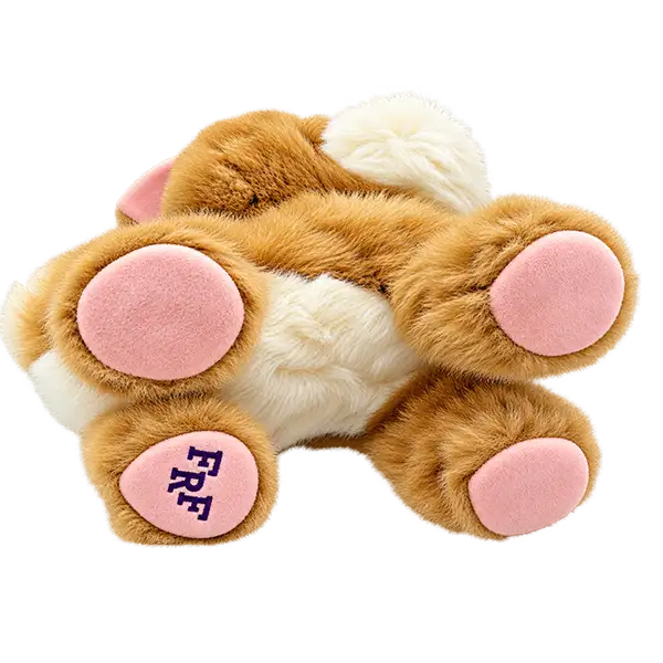 Furreal Friends Bouncy My Happy To See Me Pup Interactive Puppy