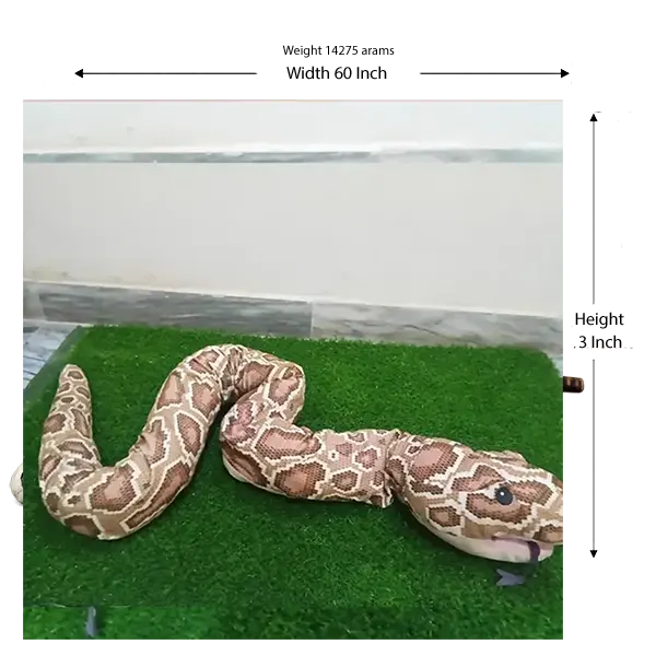 Realistic Giant Snake Stuffed Animal Plush