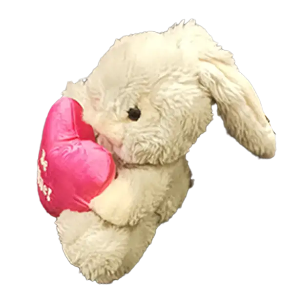 Cutest Plush Stuff Toy