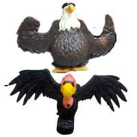 Branded bird characters